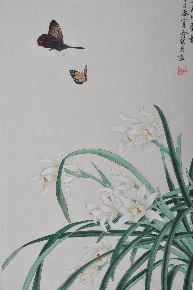 俞致贞 水仙蝴蝶