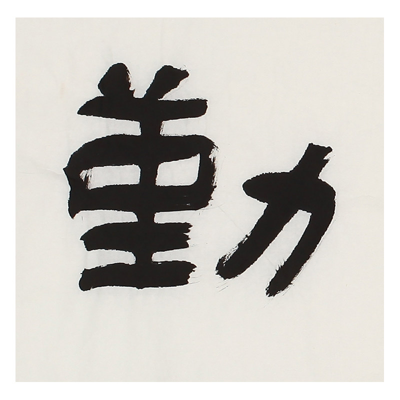 王守本《天道酬勤》中国书协会员