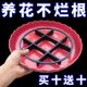 防烂根托盘花盆底部垫高底座垫脚架子托架通风透气花盆垫高防积水