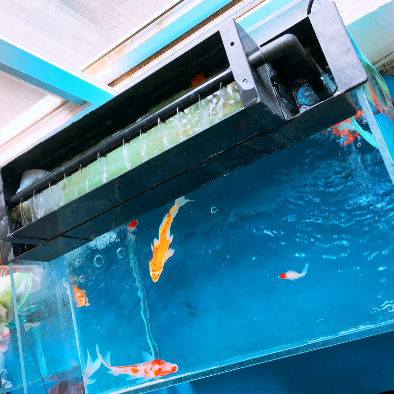 双层鱼缸大过滤盒养鱼上置过滤槽滤水上滤盒顶滤自制挂耳滤材盒子