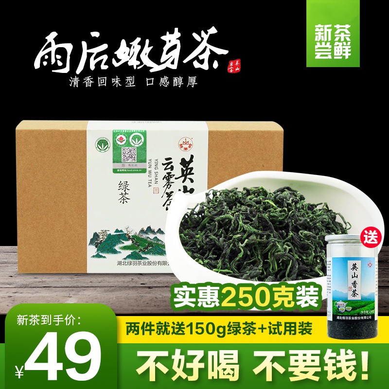 丝茅岭2024有机绿茶250g散装炒青茶