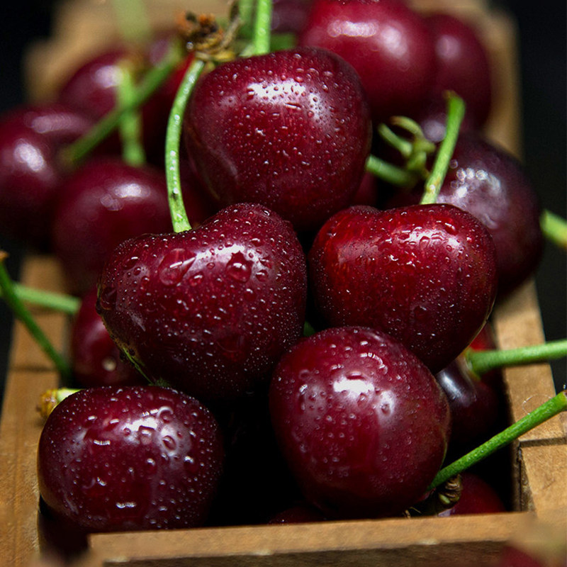 智利车厘子新鲜水果3斤当季整箱现货特大果孕妇进口樱桃顺丰包邮
