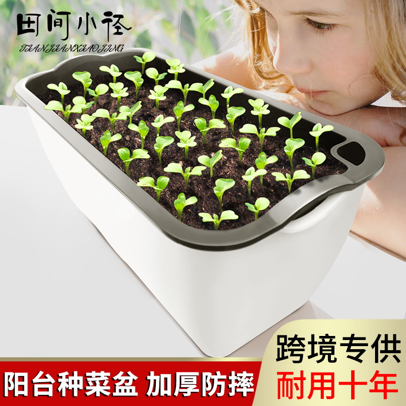 阳台种菜盆懒人花盆家庭自吸水塑料花盆长方形植物花卉草莓种植箱
