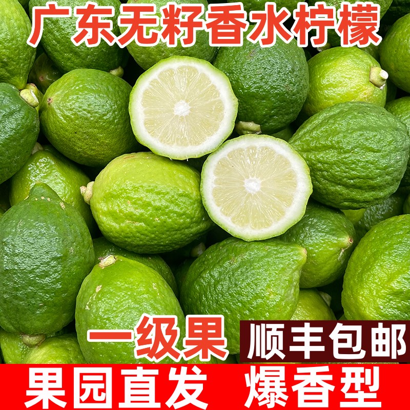 广东无籽香水柠檬新鲜水果一级大果香柠檬奶茶店专用