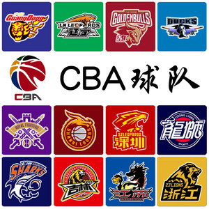 cba篮球 球队logo 队徽印刷 球衣diy 队标烫印队服 印胸标