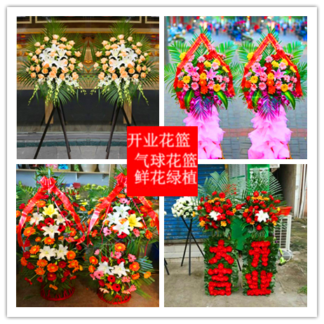 开业鲜花网红气球花篮发财树同城速递送丹东市元宝区振兴区振安区