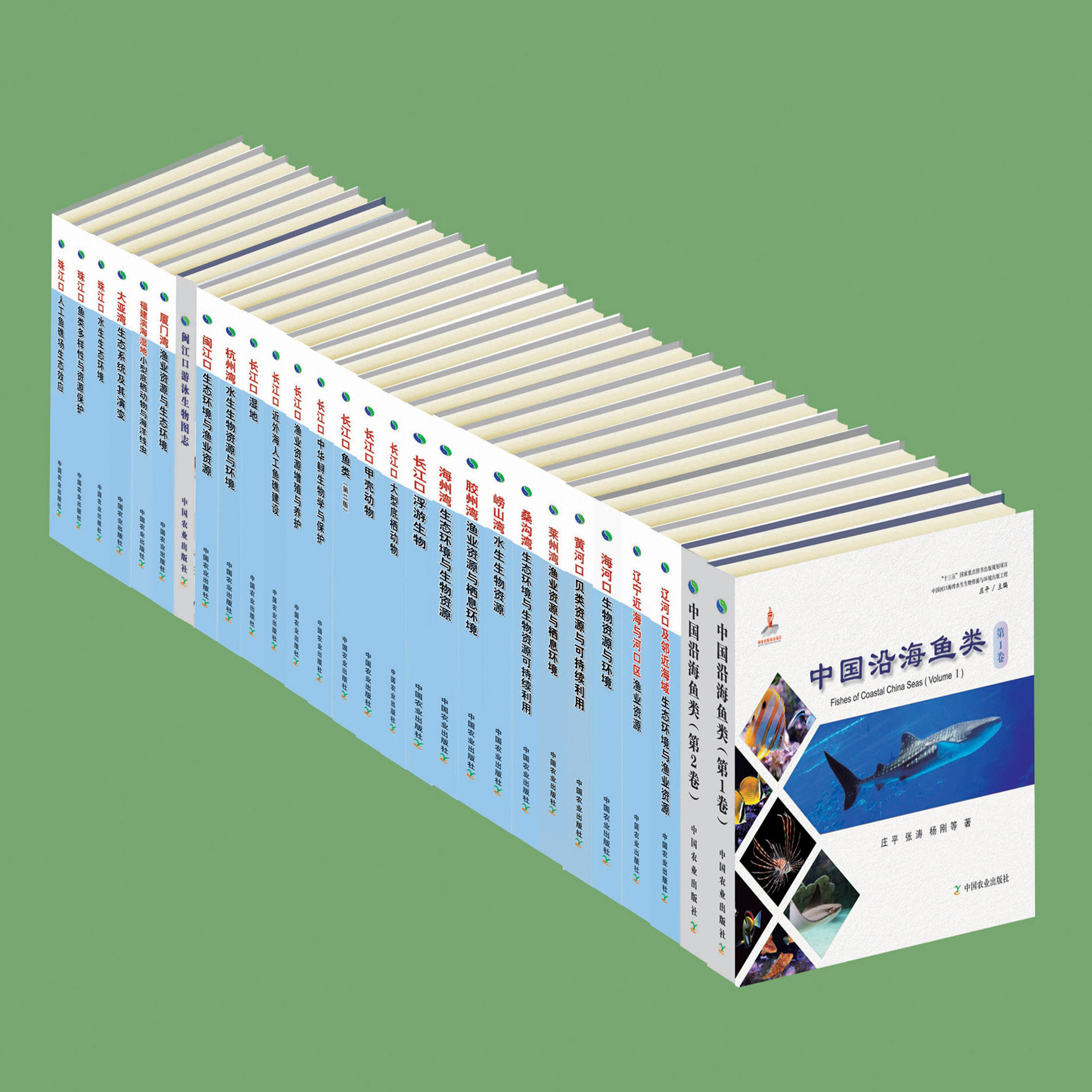 环境出版工程系列丛书共28本十三五国家重点图书出版规划项目统计审计