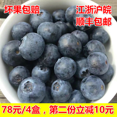 鲜佳人 智利蓝莓 最大果 空运进口新鲜水果 4盒装 江浙沪皖包邮