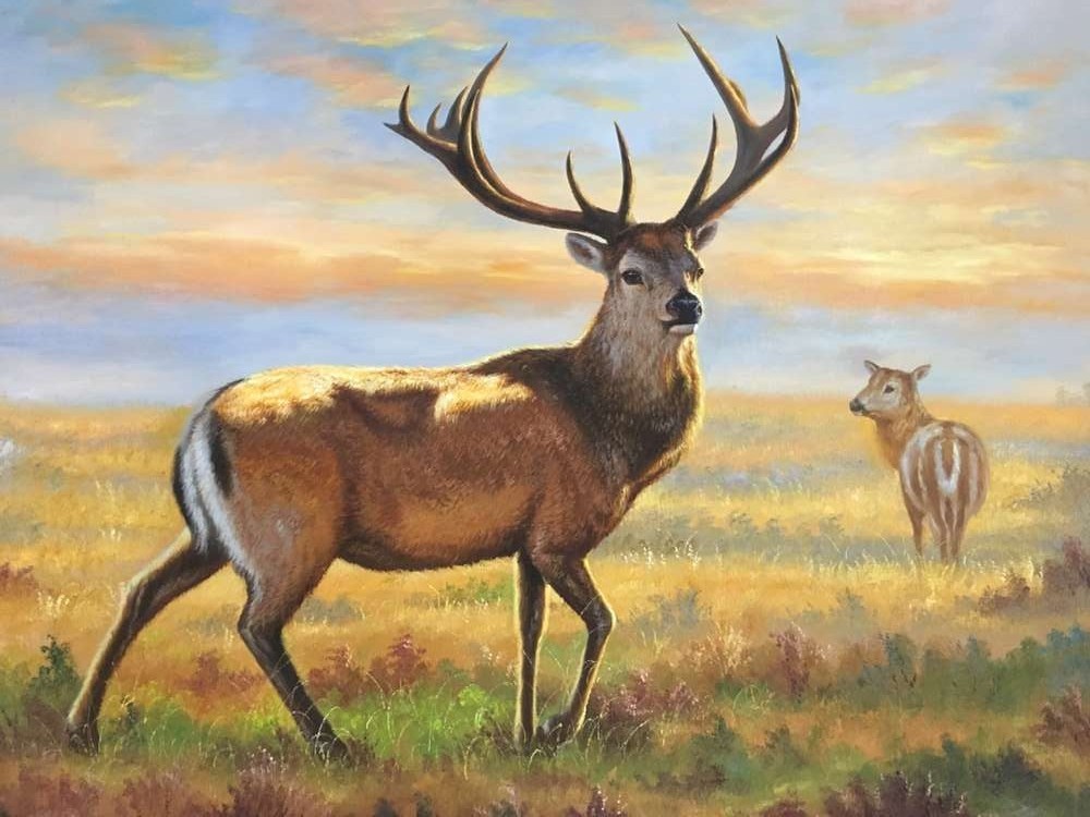 赵海防《鹿》布面油画