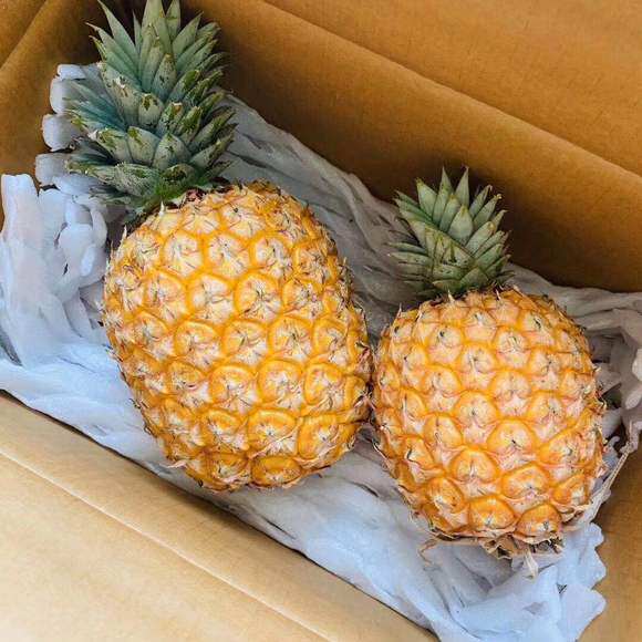 海南台农23号凤梨金芒凤梨胖嘟嘟芒果凤梨现摘现发5斤装