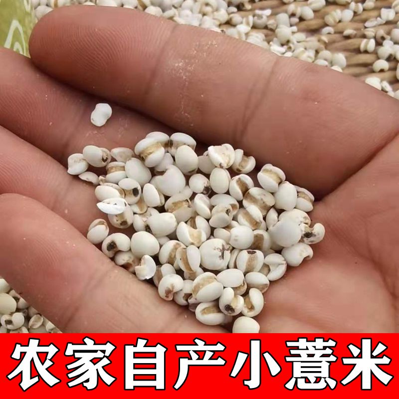 农家薏米 薏米仁薏仁米红小豆赤小豆煮粥五谷杂粮500克