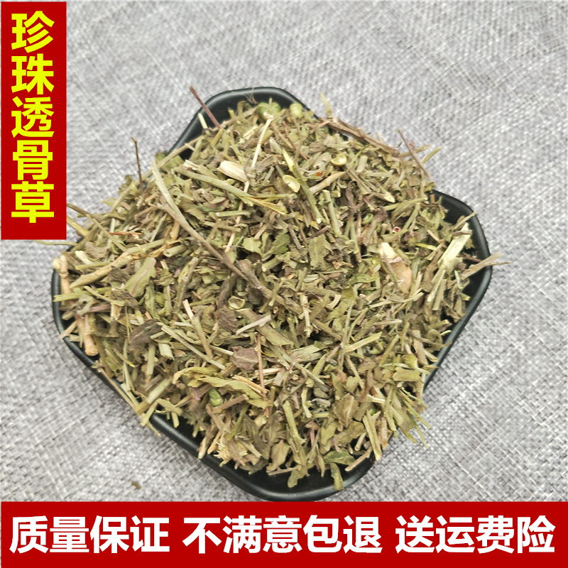 透骨草 野生珍珠透骨草中药材 透骨草500g包邮 免费打粉 配大皂角