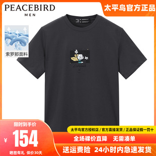 太平鸟男装 2024年夏季新款刺绣短袖T恤男B1DAC2605