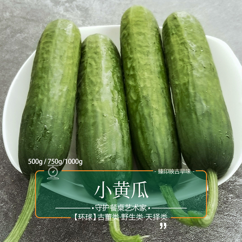 8,包邮,18人付款分类:黄瓜正品未来103北方旱黄瓜现摘现卖孕妇可生吃