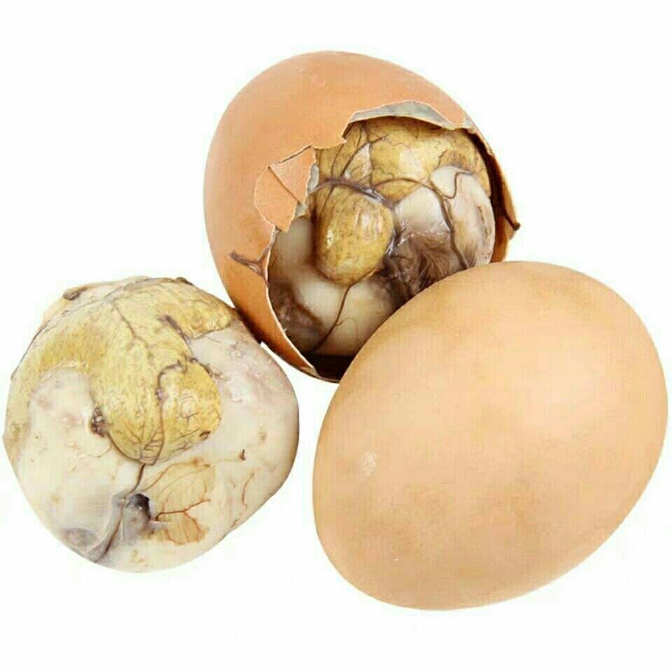 生的13天天活珠子40枚)鸡蛋胚新鲜食材山东农家烧烤食材喜蛋包邮