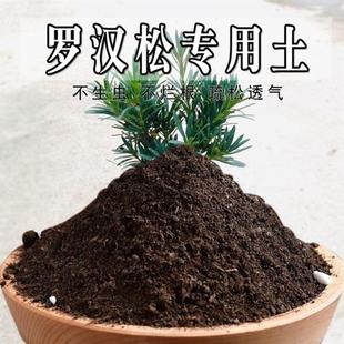 罗汉松专用土罗汉松专用肥料营养土盆栽土养花种花土种植土壤通用