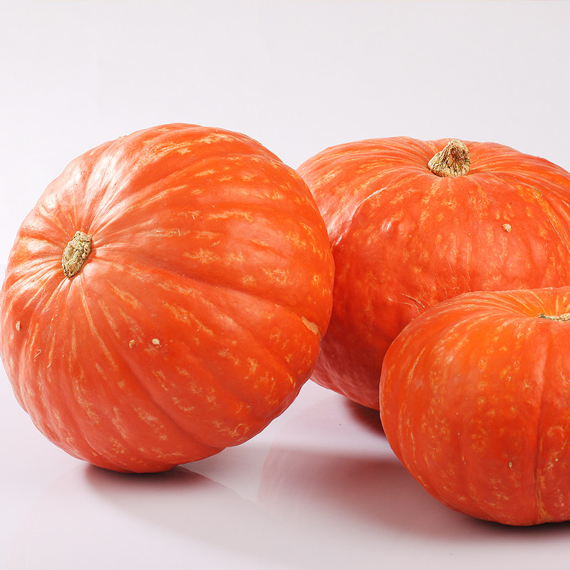 【天天特价】新鲜红南瓜小金瓜红皮南瓜宝宝辅食农家倭瓜5斤