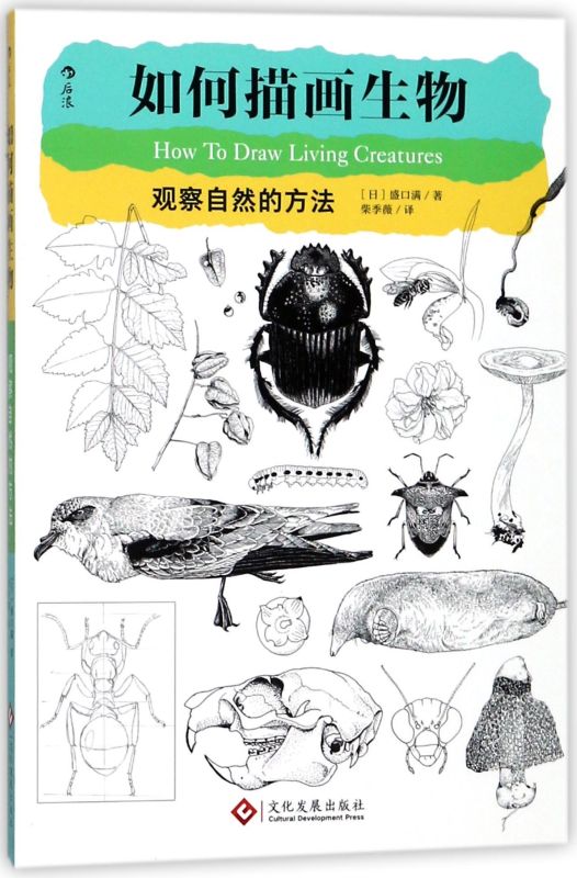 新华正版 如何描画生物观察自然的方法 日盛口满柴季薇 艺术 绘画技法 文化发展 后浪咨询（北京） 图书籍