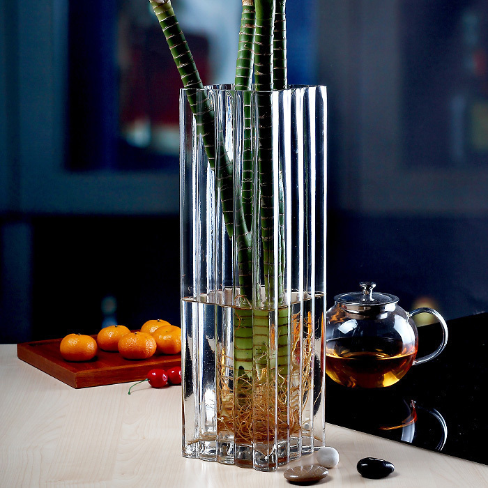 Dibyna富贵竹花瓶手工玻璃简约透明客厅摆件插花水培瓶子落地大号