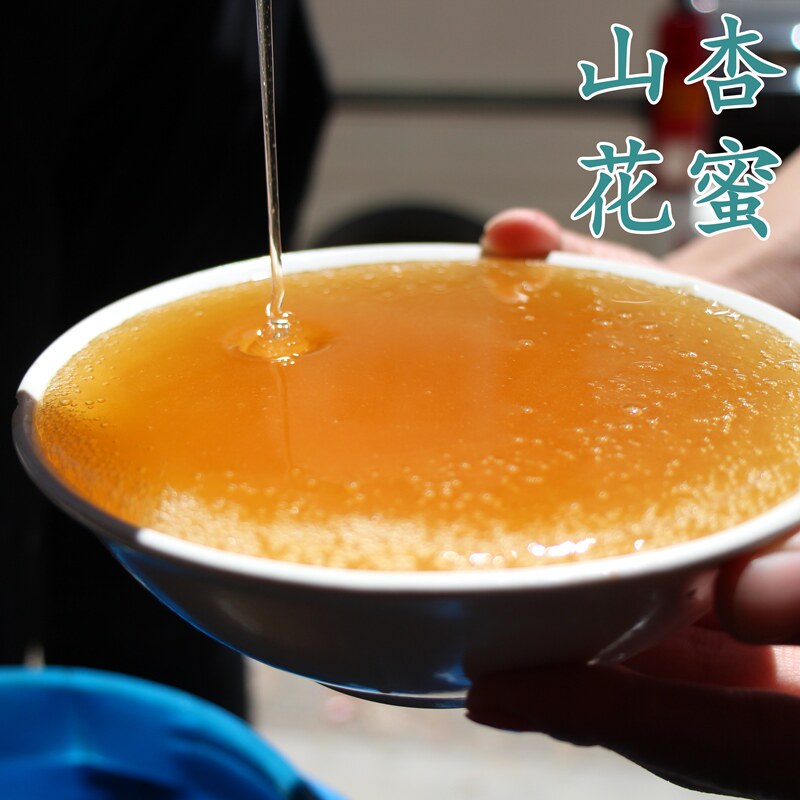王景龙深山采杏花蜜纯正天然野生农家自产山杏花蜂蜜正宗真峰蜜糖