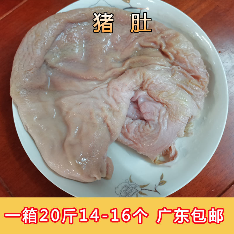新鲜冷冻猪肚1416个胡椒猪肚煲鸡火锅20斤