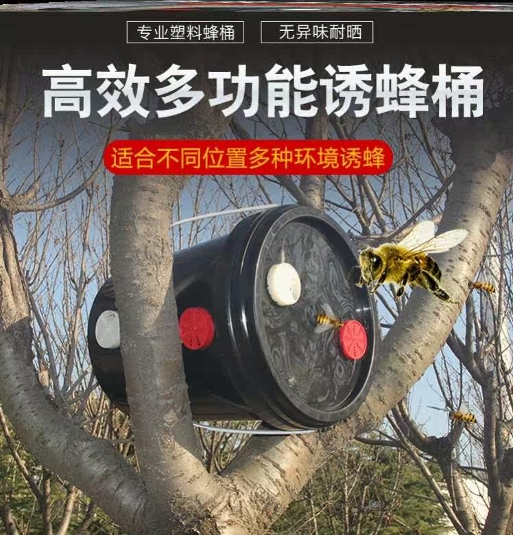 收蜂桶塑料收蜂笼空心耐摔承重力强巢础中蜂黑色塑料蜂具养蜂标准