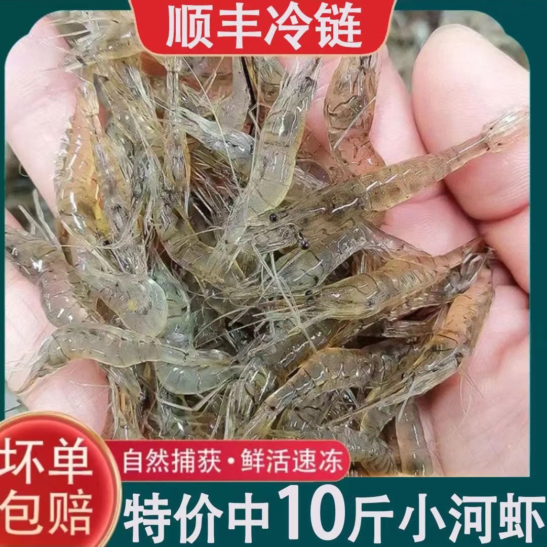 10斤装小河虾鲜活淡水活虾现冻小白