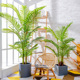 仿真植物大型北欧假绿植盆栽摆件树散尾葵凤尾竹室内客厅落地装饰