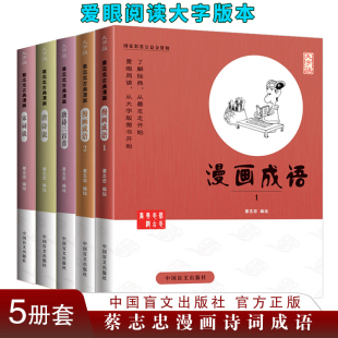 【大字版全5册】蔡志忠漫画全集 唐诗说宋词说+唐诗三百首+漫画成语1+2国学经典少儿国学系列 蔡志忠给孩子的国学经典漫画大字书籍