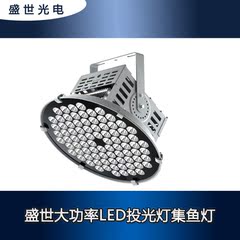 盛世光电LED投光灯250W500W远光大功率集鱼庭院高楼大厦聚光射灯