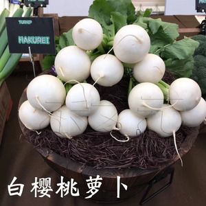 白萝卜果