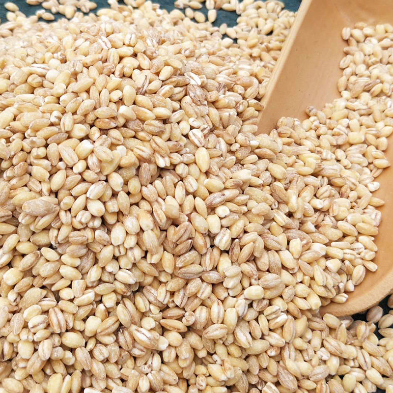 鹦鹉脱壳大麦鸟食饲料鸟粮大中型仓鼠鸽子粮食鸟食