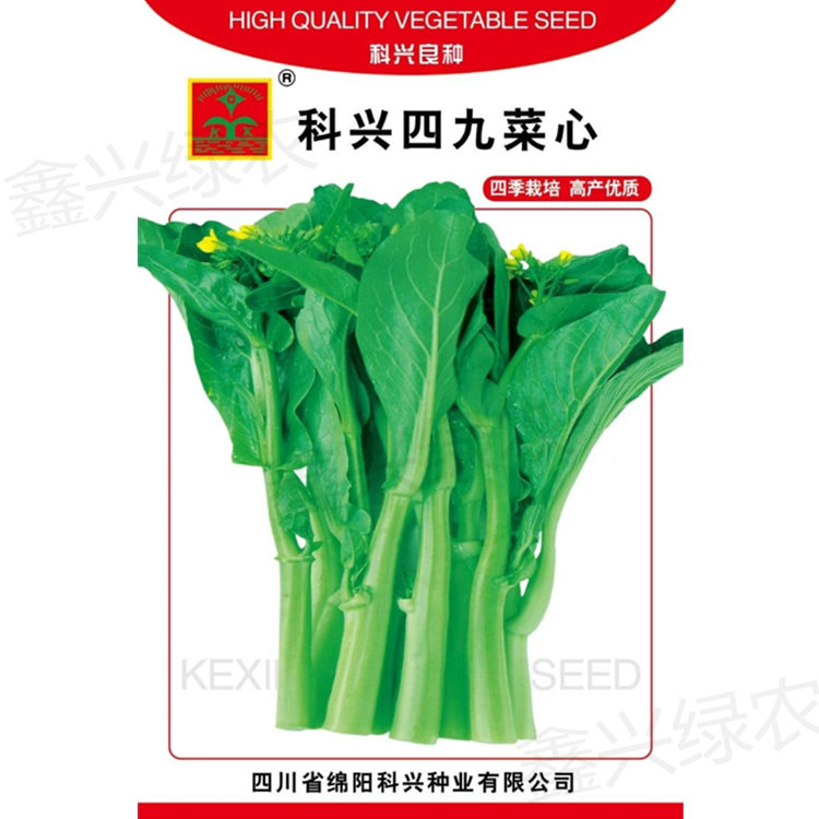 四九菜心种子油青甜菜心菜苔籽春夏秋冬四季阳台盆栽田园蔬菜种孑|msdalam kategori penghantaran bunga/bunga simulasi/tumbuhan berkebun, bunga/Buah-buahan dan sayur-sayuran/benih rumput (baru), benih rumah berkebun - dari Buy2taobao.com untuk memberikan perkhidmatan ejen Taobao profesional membeli