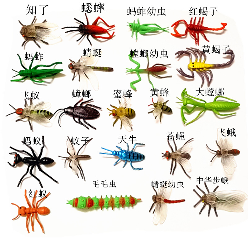 仿真小号昆虫动物虫子模型螳螂蚂蚱蝎子蜻蜓蚊子蜘蛛苍蝇蜜蜂蝴蝶
