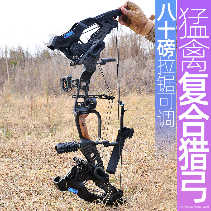 弓箭狩猎 射击_k牌猛禽复合弓弓箭户外反曲弓狩猎射击钢珠猎弓三角弓