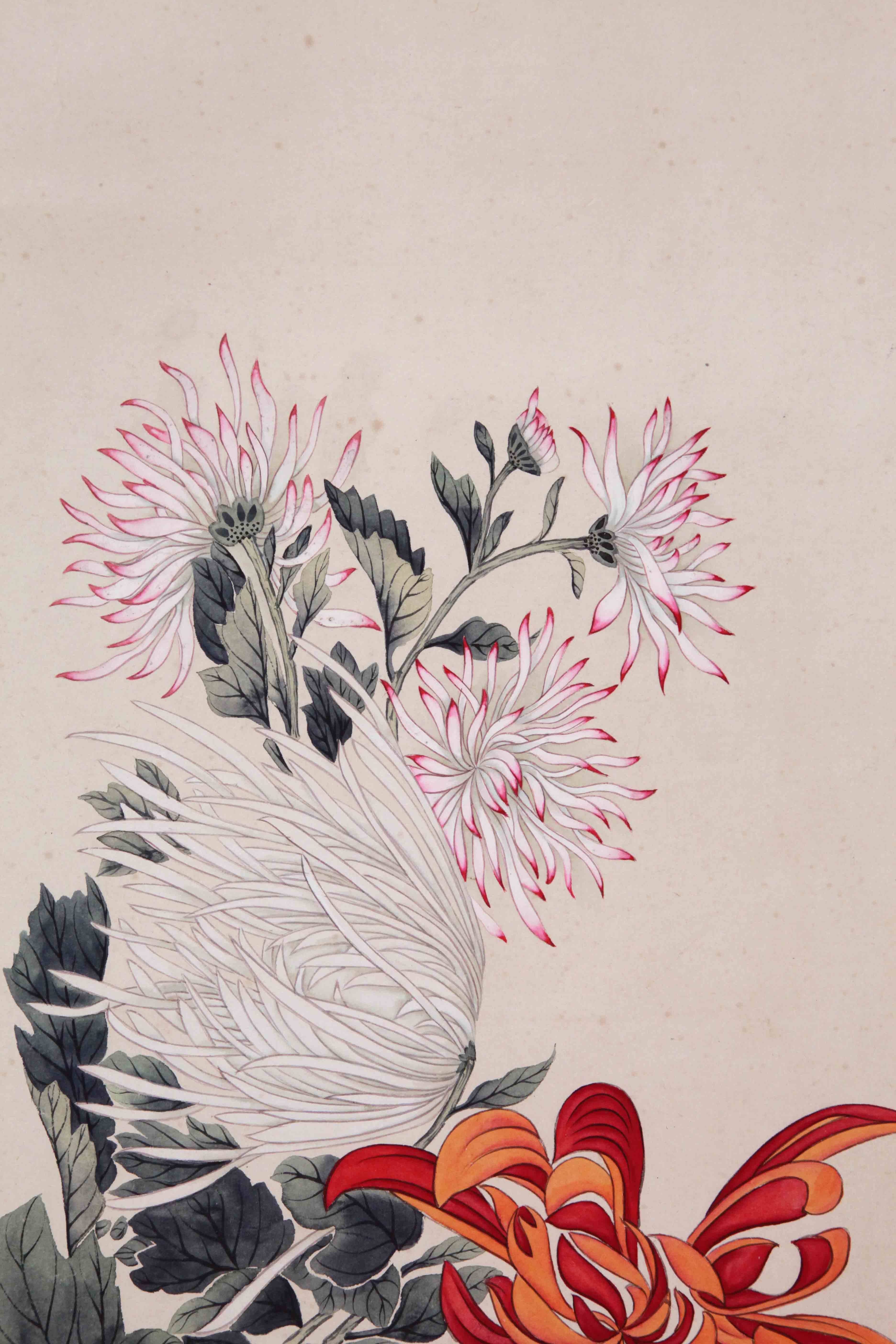 林徽因 《花卉》