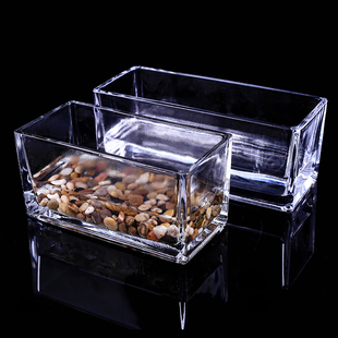 桌面透明玻璃花瓶水培长方形水养植物容器创意鱼缸花盆器皿大号