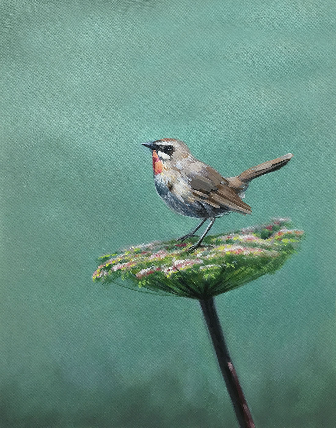 《莲蓬上》喻新 布面油画