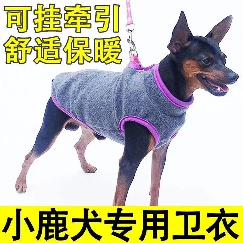 小鹿犬宠物狗狗专用卫衣小型犬,体带牵引绳两脚泰迪衣服冬天保暖
