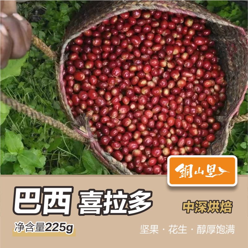 铜山里巴西圣多斯美式手冲咖啡精品新鲜烘焙咖啡豆225g（可磨粉）