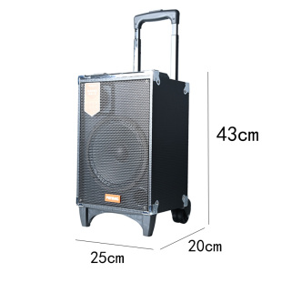 飞扬F8-2T广场舞音响户外8寸蓝牙大音量K歌重低音拉杆移动音箱