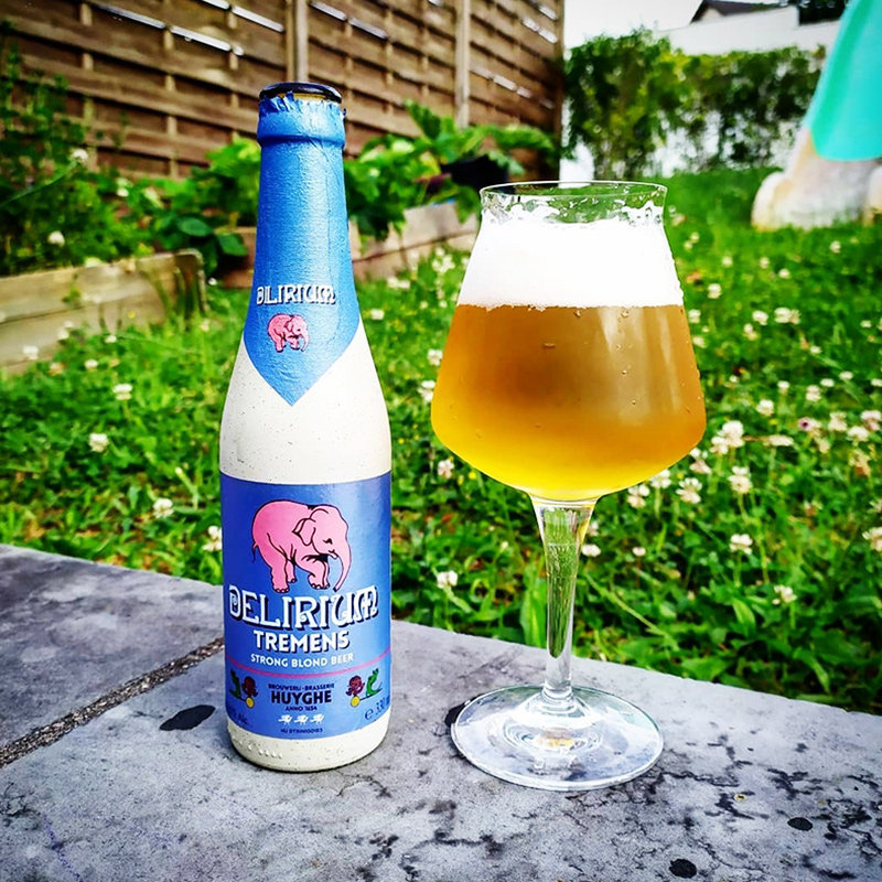 精酿啤酒 比利时原装进口入门级精酿浅粉象啤酒330ml-mc母婴网