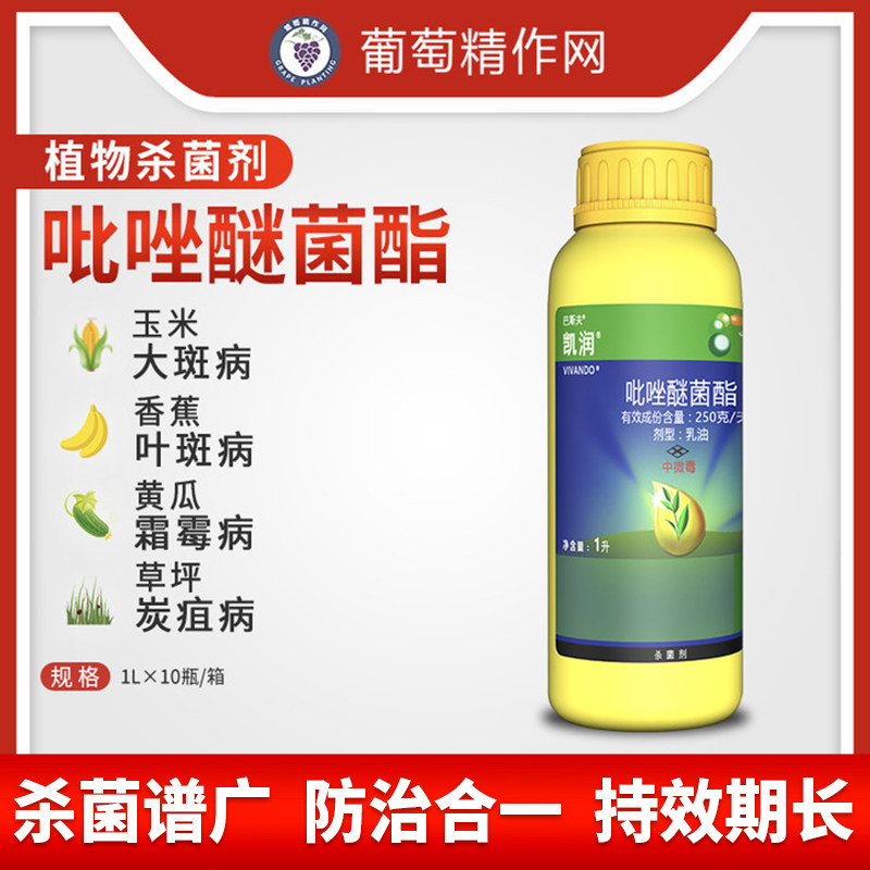 德国巴斯夫凯润吡唑醚菌酯霜霉大豆叶斑黑星白粉病农药专用杀菌剂