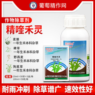 日产精禾草克精喹禾灵棉花西瓜禾本科尖叶杂草农药农资除草剂