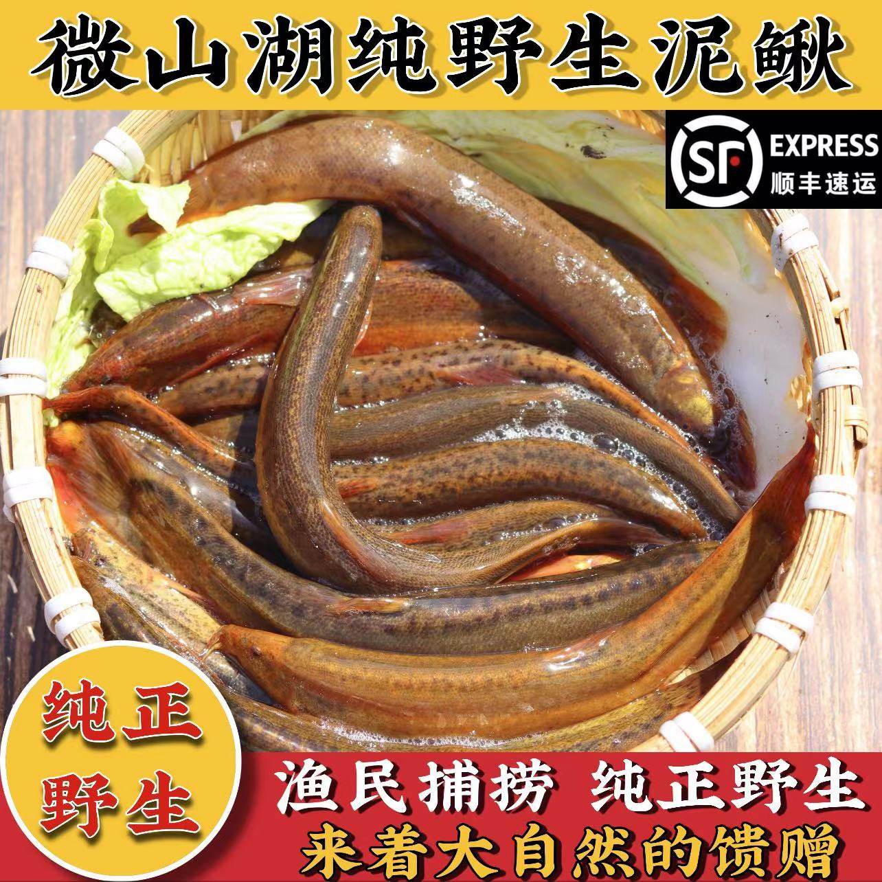 野生泥鳅-特价促销-优惠券领取-价格|多少钱|什么牌子好-35优惠券网站