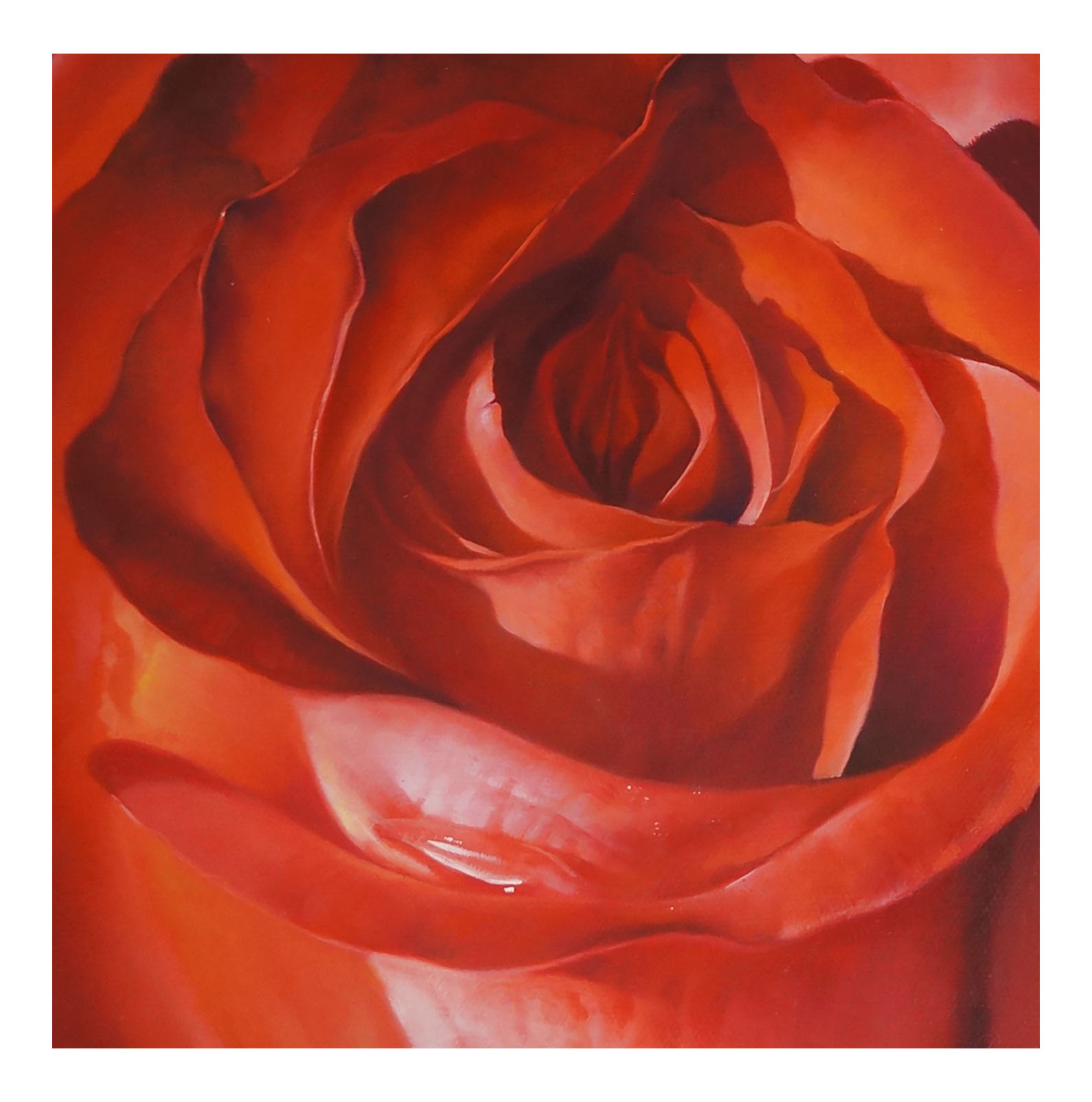 李金勇《烈焰玫瑰》超写实 中国美院 布面油画