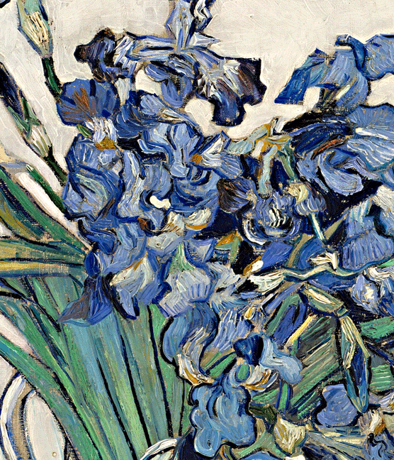 文森特.梵高《兰花》数码版画