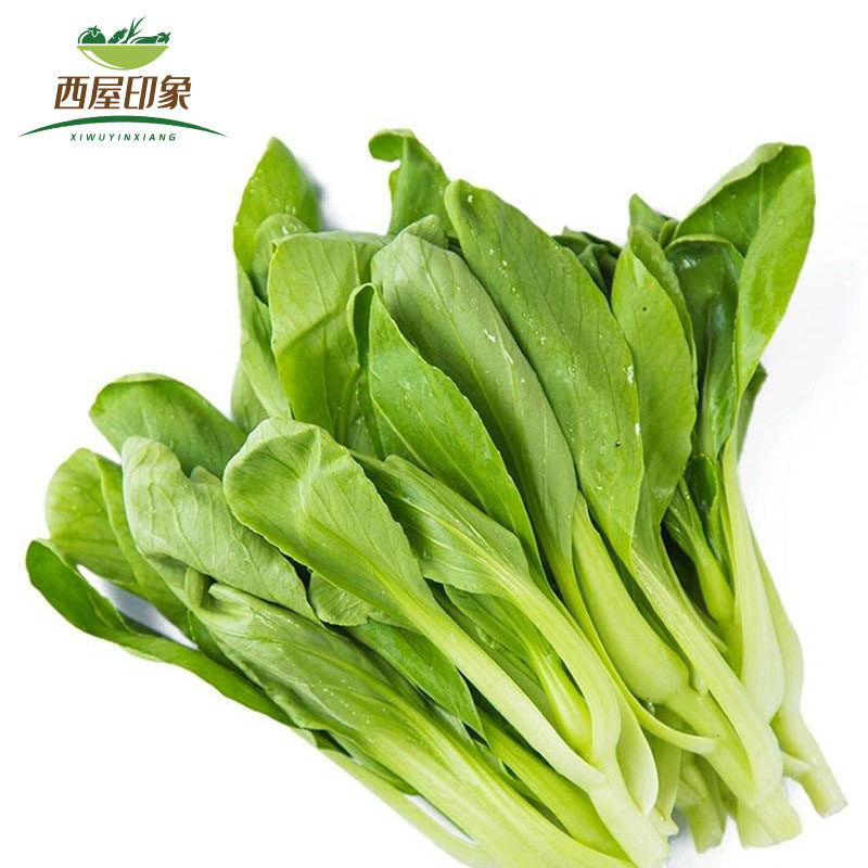 霜打青菜优惠专场