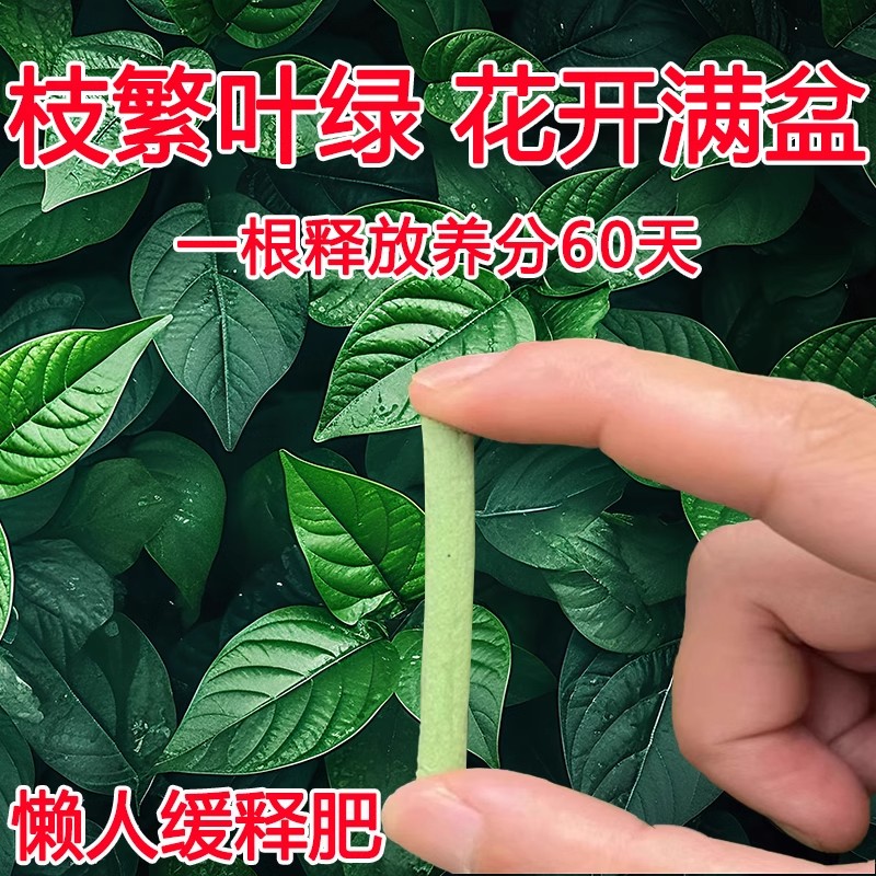 植物缓释肥营养棒养花通用型花肥家用盆栽复合肥料发财树花卉绿植