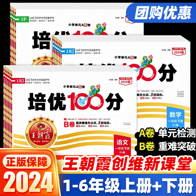 2024新版 王朝霞培优100分一